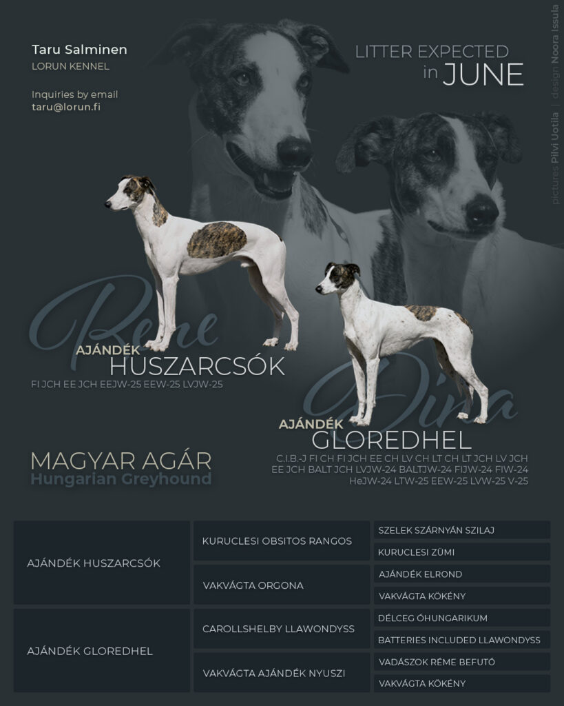Digital Poster – Lorun Kennel
